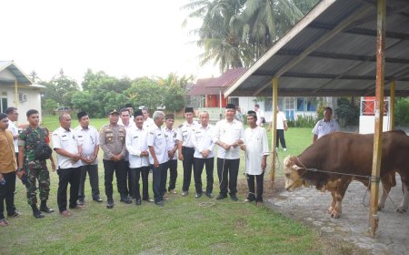 Bupati Alexander Terima Kurban Presiden Prabowo untuk Masjid Ashabul Yamin