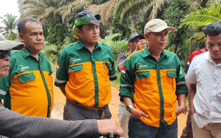 Pendudukan Lahan Masyarakat  Teluk Bayur Diluar HGU Memasuki Hari Ketiga, Ketegangan Meningkat, "GM PT PTS Jangan Halangi Kami Panen Di Sini"
