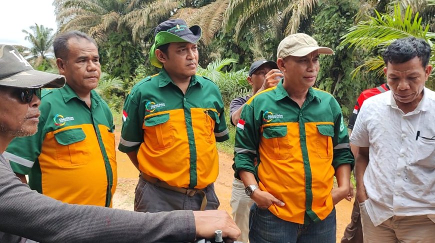 Pendudukan Lahan Masyarakat  Teluk Bayur Diluar HGU Memasuki Hari Ketiga, Ketegangan Meningkat, "GM PT PTS Jangan Halangi Kami Panen Di Sini"