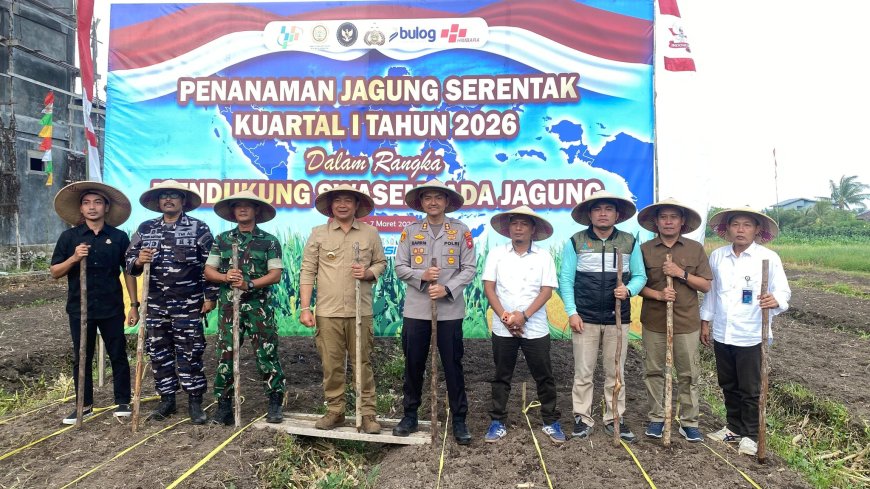 Pemkab Ketapang dan Polres Tanam Jagung Serentak Dukung Ketahanan Pangan Nasional